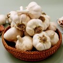 청풍명월농장 이미지