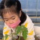 다온농장2 이미지