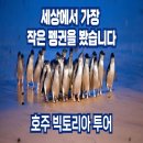 (주)이투어세상 이미지