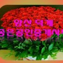 경보부동산중개사무소 이미지