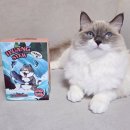 연어의맛 | 고양이 습식사료 파우치 츄르탕 추천, 이루앙 수분보충 영양 워터스튜 연어맛 후기