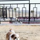 구찌네집 이미지