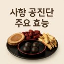 상지대학교부속 한방병원 | 사향 공진단 효능과 기대할 수 있는 효과 차이를 만드는 이유 5가지