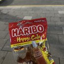 예인고우 이미지