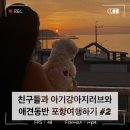 [강아지랑 포항여행] 우리는 사랑아니면 여행이겠지