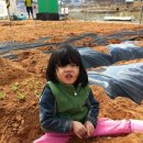 왕버들2농장 이미지