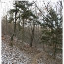 부용산꼬막식당 이미지