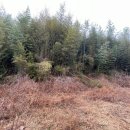 대봉1리마을회관 이미지