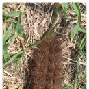 시립정왕1동어린이집 이미지