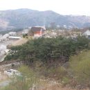 숲속 정원 이미지