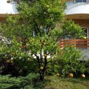 하늘조각휴양펜션 이미지