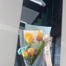 옥스트