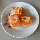 LG탑마트 | 진짜 당첨되네? 썬키스트 오렌지 이벤트 5등 후기 (feat. 만다린 1봉지) 🍊