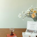 라벨라수 이미지