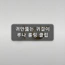 귀안뚫는 귀걸이 루나 롤링 클립 써본 후기