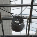 유동농장 이미지