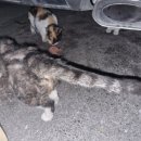 위태경로당 이미지