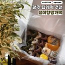예다안어린이집 | 광주 떡집 아기 돌잔치 기념 어린이집 답례떡 추천 설이향 망개떡