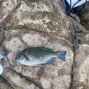 마스터피스짐 2호 이미지