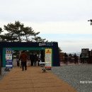 울산 여행 새로운 핫플 대왕암 출렁다리 다녀온 후기