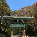 광덕산3로 | 🍁 [충남 천안 가을여행] 광덕산 단풍 명소 광덕사 사찰 탐방기 (주차장 정보 포함)