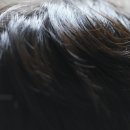 알지코퍼레이션 이미지