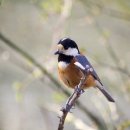 에파코팜 이미지