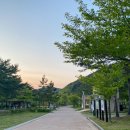 팔영산오토캠핑장 티스토리