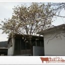 남양2리 이미지