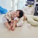 율이현이