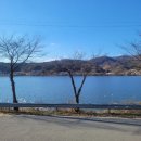 에브리선데이커피 본점 | 세종 고복저수지 카페 추천 에브리선데이 본점 뷰맛집 쿠키 커피 후기