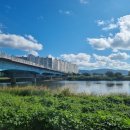 코리아나나이트클럽 이미지