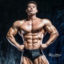 IFBB 맨즈피지크 프로 강성진 교수의 보디빌딩 실전트레이닝 이미지