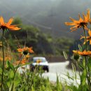 태백산로 이미지