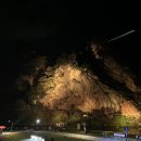 나오라쇼 공연장 이미지