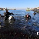 입암2리 이미지