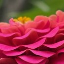 한량 - 마포구 와우산로32길 11 | 한량