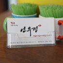 연우정 이미지
