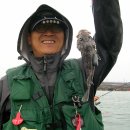 토도수산 이미지