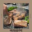 가람빌딩(유명갈매기) | 줄서서 먹는 광명 돼지고기 맛집 등심덧살이 매력적인 하안동꿀주먹 방문 후기