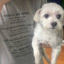 다빈치게임장 이미지