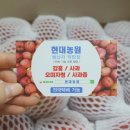 현대농원 이미지