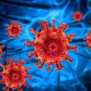 바이러스 이미지