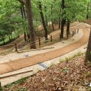 봉성산 공원 이미지