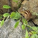 하얀돔펜션 이미지