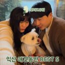 고봉로34길 | 익산 애견동반 여행 BEST 5(여행지, 숙소, 식당, 카페)