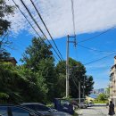 청주대학교 북문앞 | 청주 내덕동 돈까스 맛집 86카츠 청주대 점심 핫플 식당