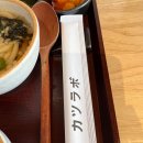 카츠랩 - 화성시 | 카츠랩