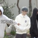 마크브라운