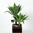 하동우리들병원장례식장 이미지